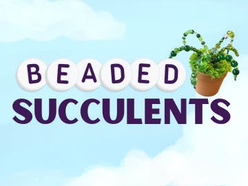 Beaded Succulents