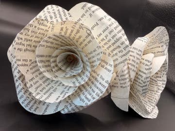Book Page Roses