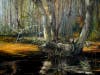 "In My Eyes, The Sound of Color" by Peter Powell Roberts. Enjoy a guided tour of the Peter Powell Roberts museum in Avon Park with CNCP. Mr. Roberts was a landscape artist who focused on the local flora and fauna near the Lake Wales Ridge.