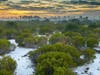 Explore ancient sand dunes with private hikes and tours during Calusa Nature Center and Planetarium's tour of the Lake Wales Ridge. 