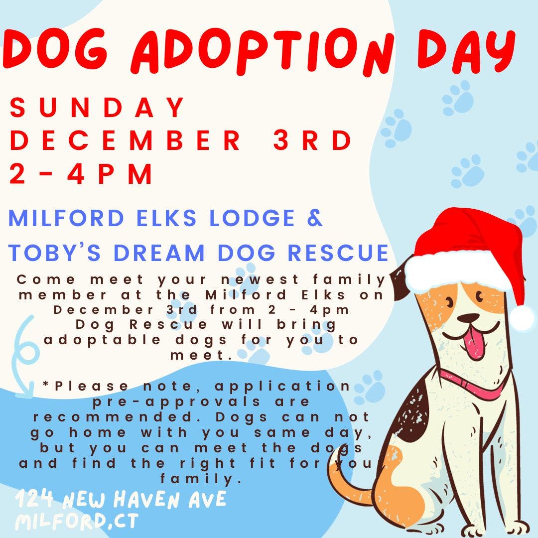 Dec 3 | Dog Adoption Day CANCELLED DUE TO WEATHER | Milford, CT Patch