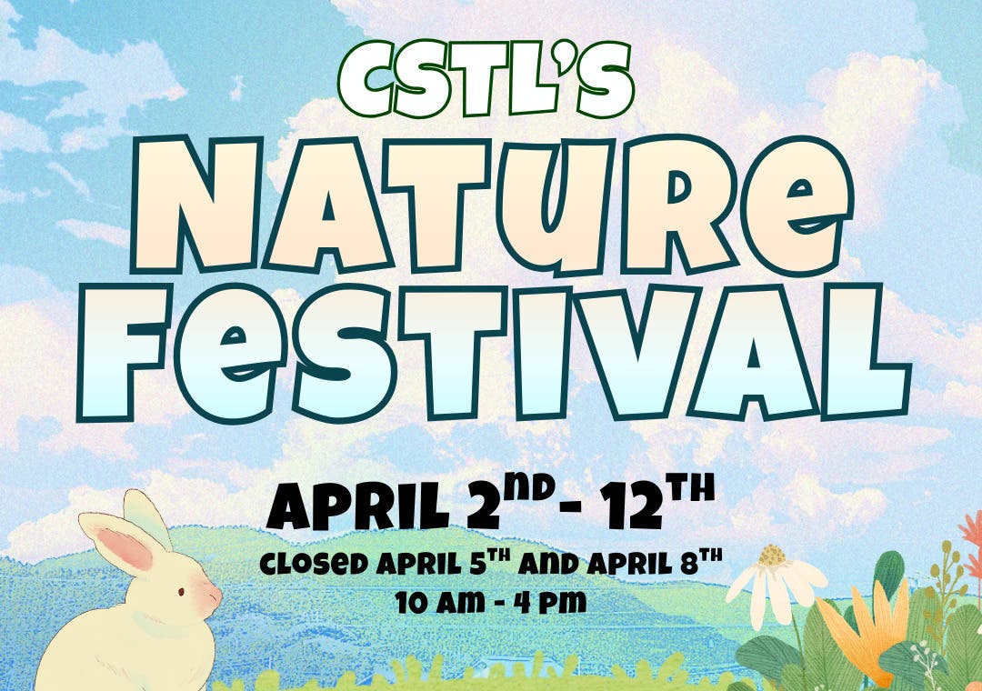 Nature Festival 