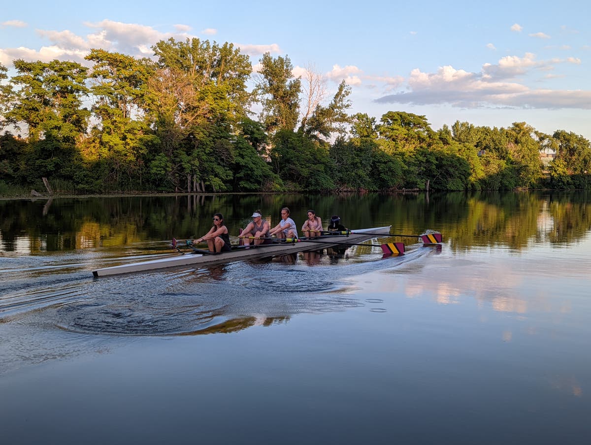 Gentle Giant Rowing