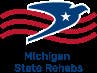 Michigan Outpatient Rehab