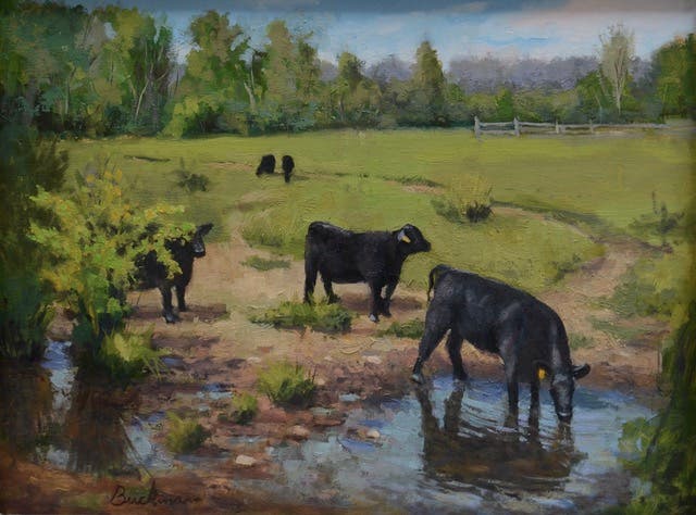 Frank Bruckmann, plein air artist