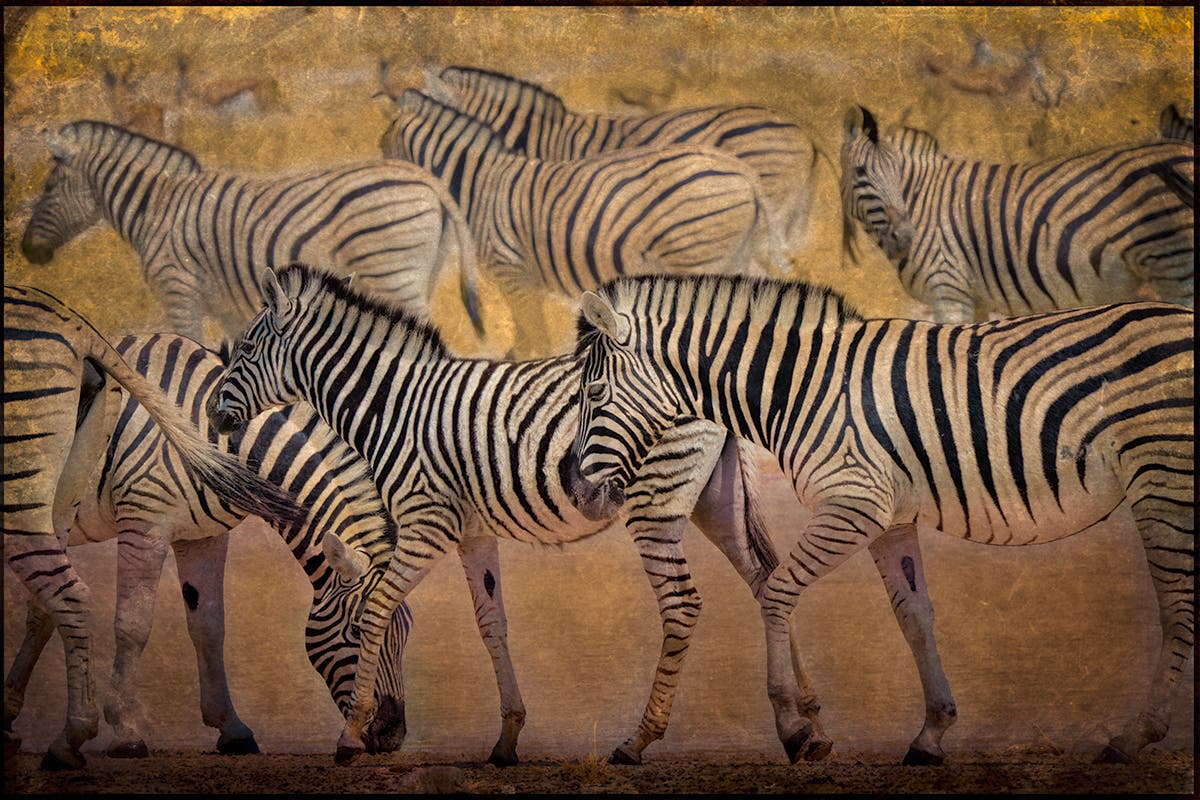Opening Reception: NAMIBIA, photographs by PenRod Studio