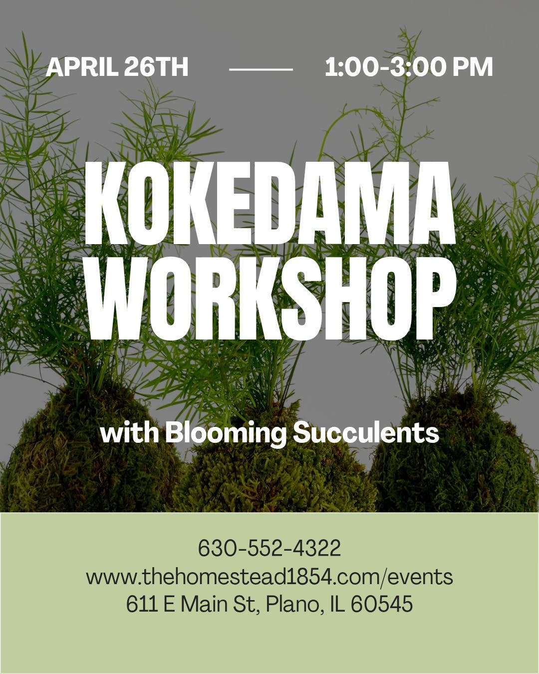 Kokedama Workshop: Create Your Own Living Moss Ball Plant
