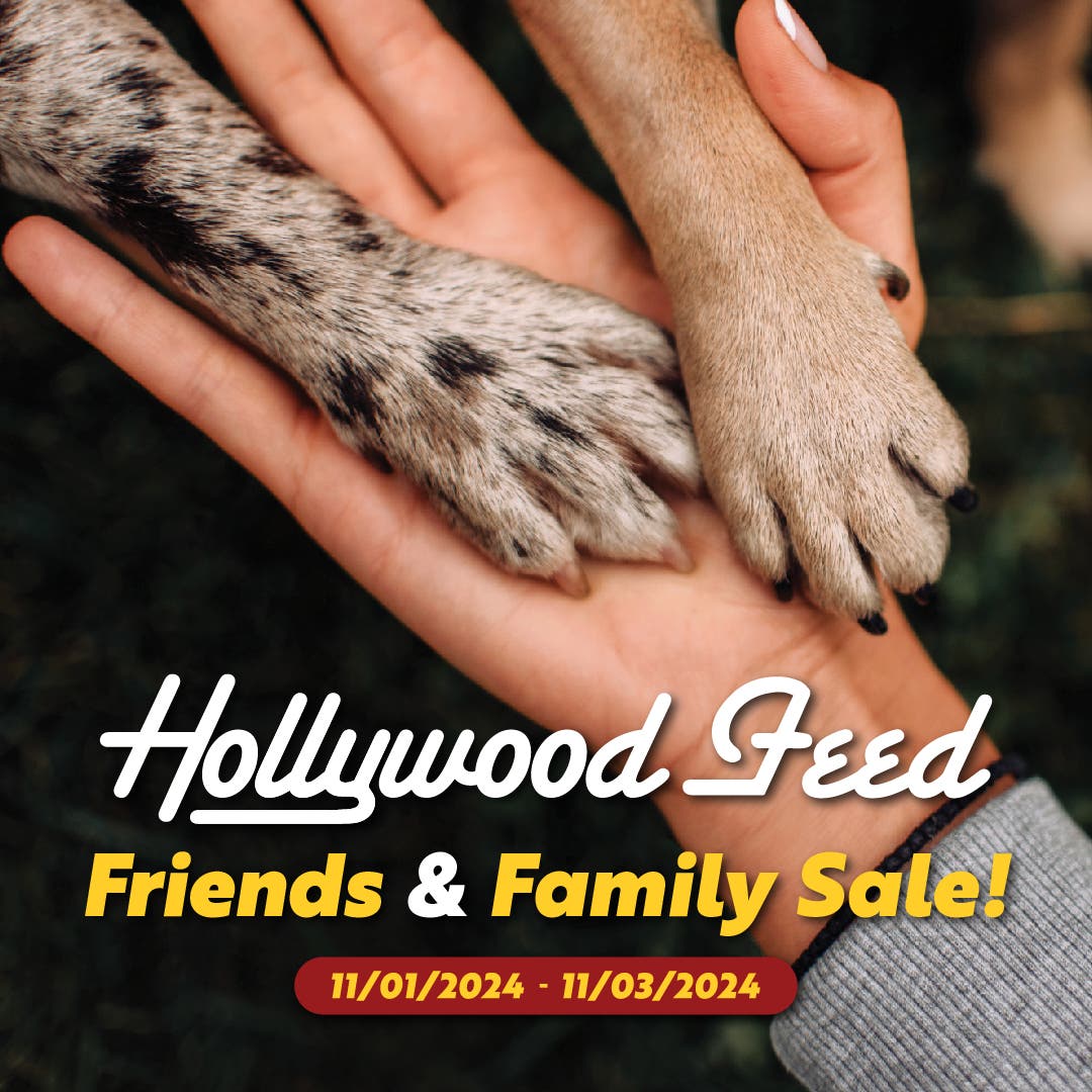 Nov 1 | Hollywood Feed "Friends & Family" Sale! | Mountain Brook, AL Patch