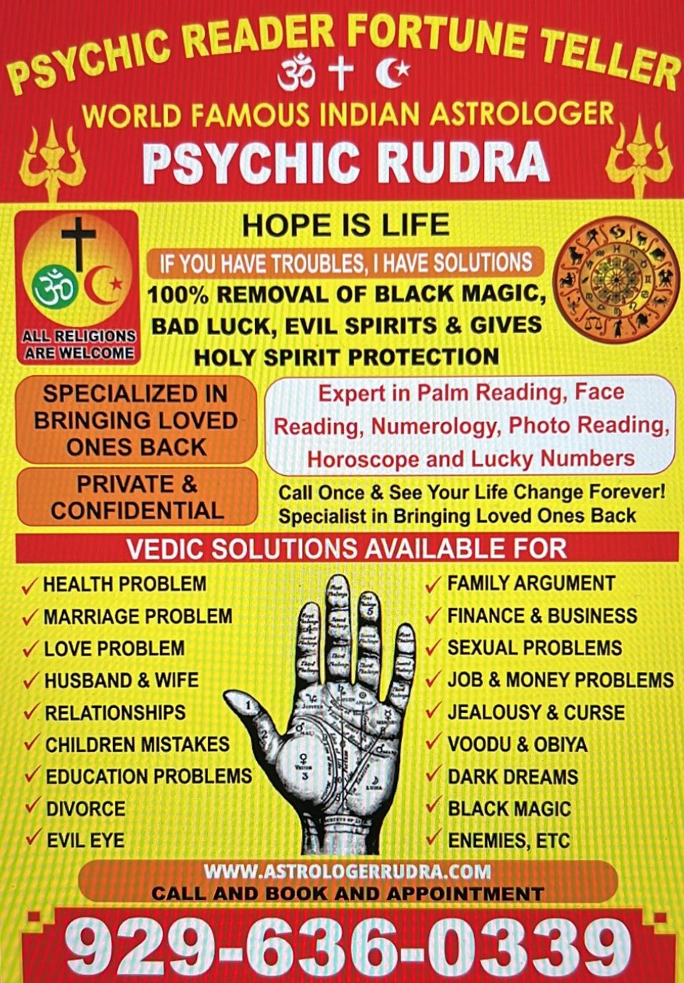 Best astrologer and spiritual healer Newyork 
