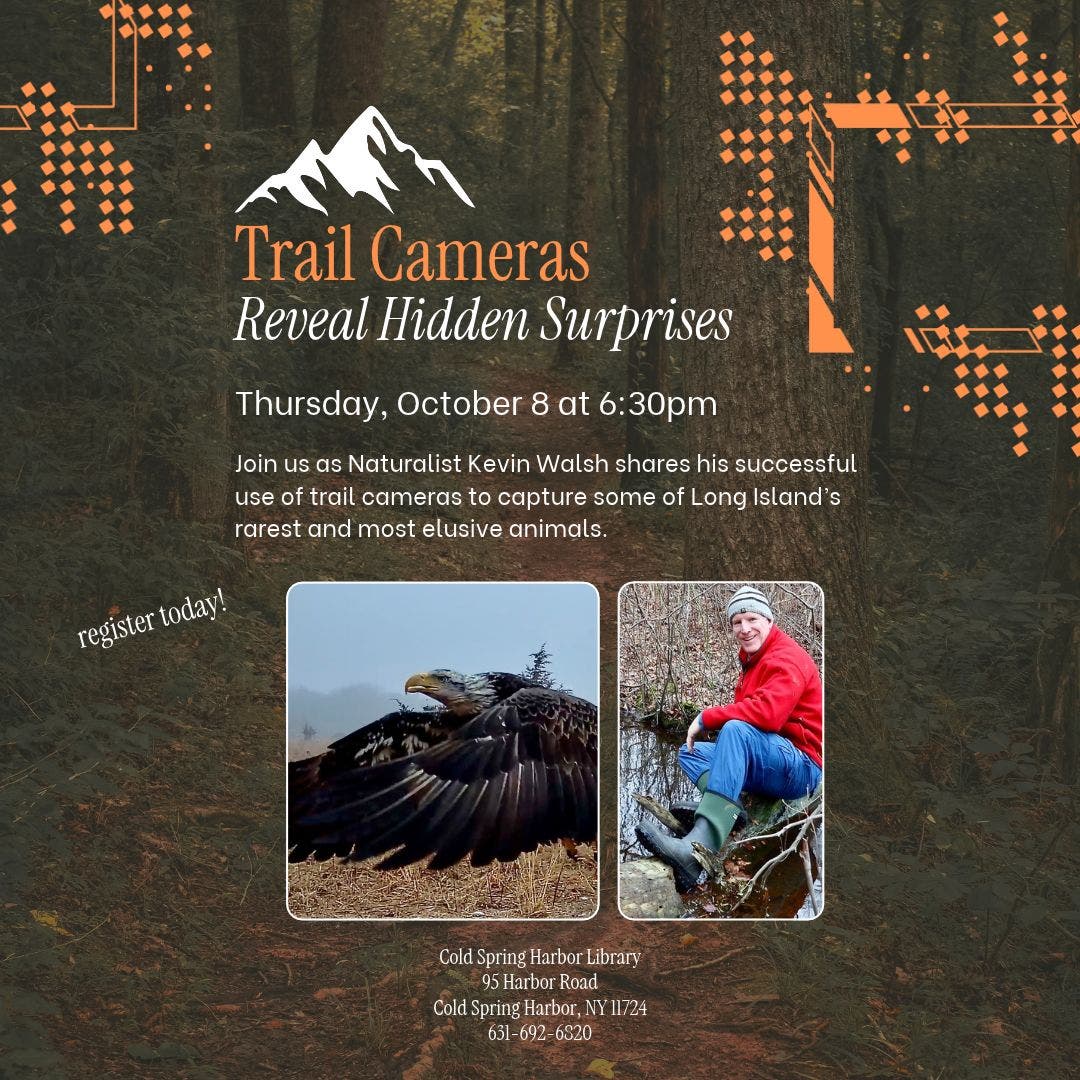 Trail Cameras Reveal Hidden Surprises