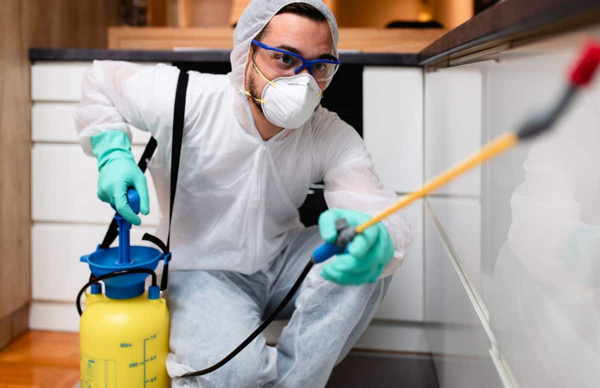 Gathering Place Termite Removal Experts