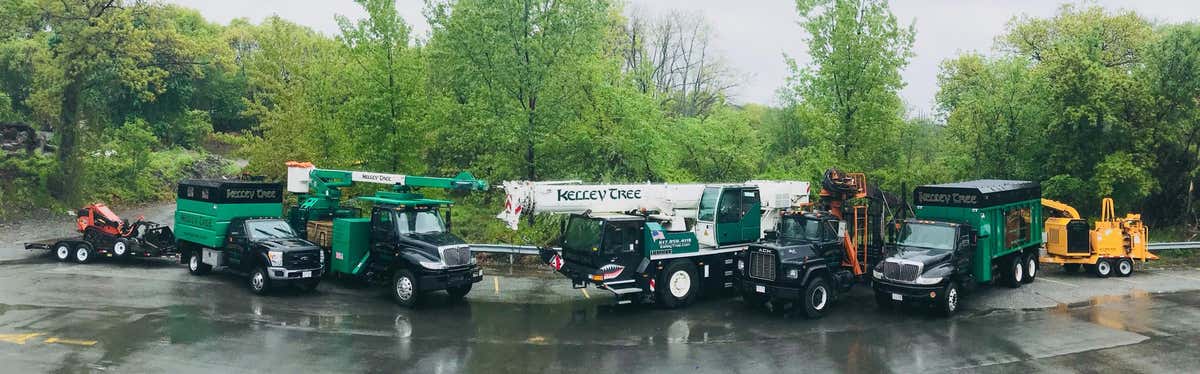 Kelley Tree Service