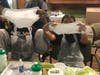 Girl Scouts Beyond Bars, part of the GS Impact Program, provides connection, confidence, and leadership growth for girls with incarcerated mothers