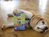 Patch Pals are soft-baked, blueberry muffin-flavored dog cookies, with each featuring one of four patch designs inspired by signature Girl Scout experiences. Available exclusively online in 2027.