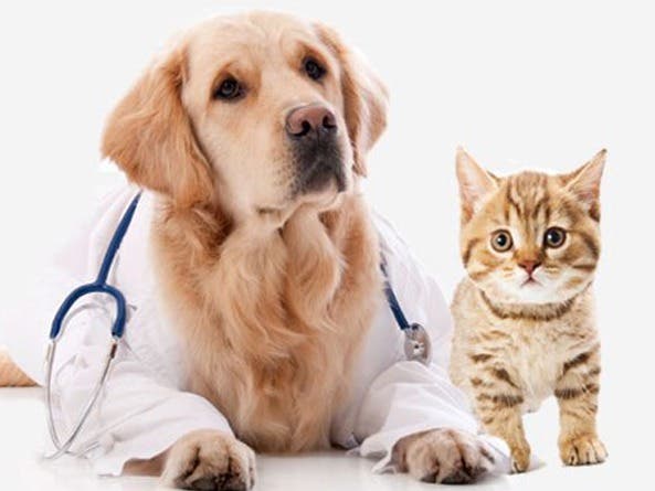 Low Cost Pet Vaccination Clinic