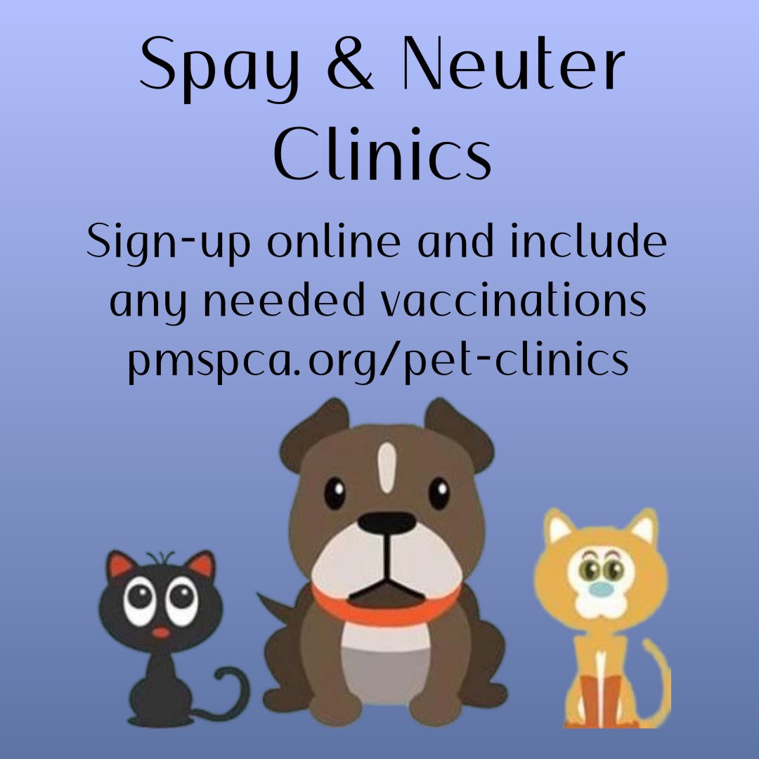 Spay/Neuter Clinics for Cats & Dogs