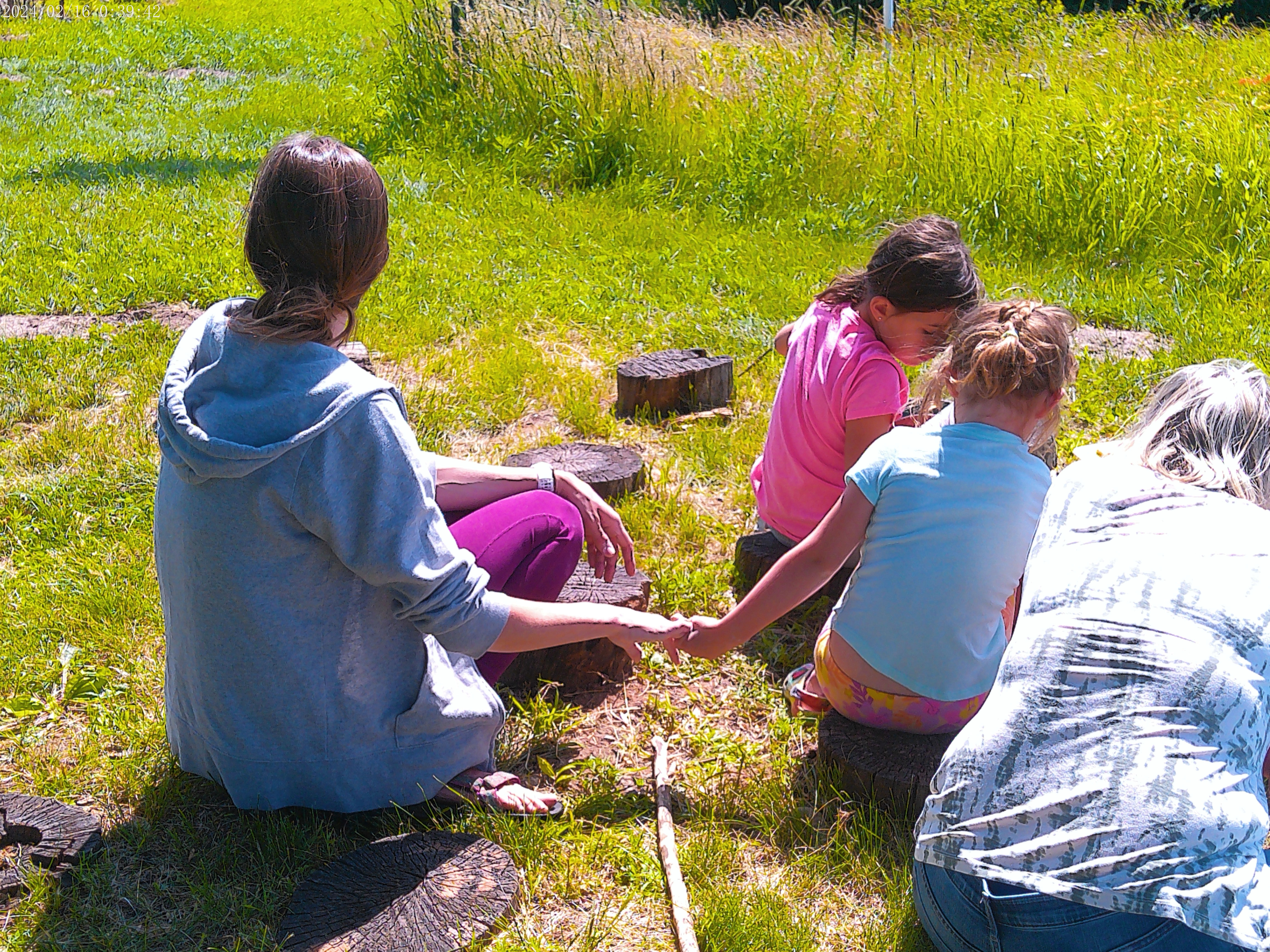 Toddler Tuesday: Damselflies and Dragonflies