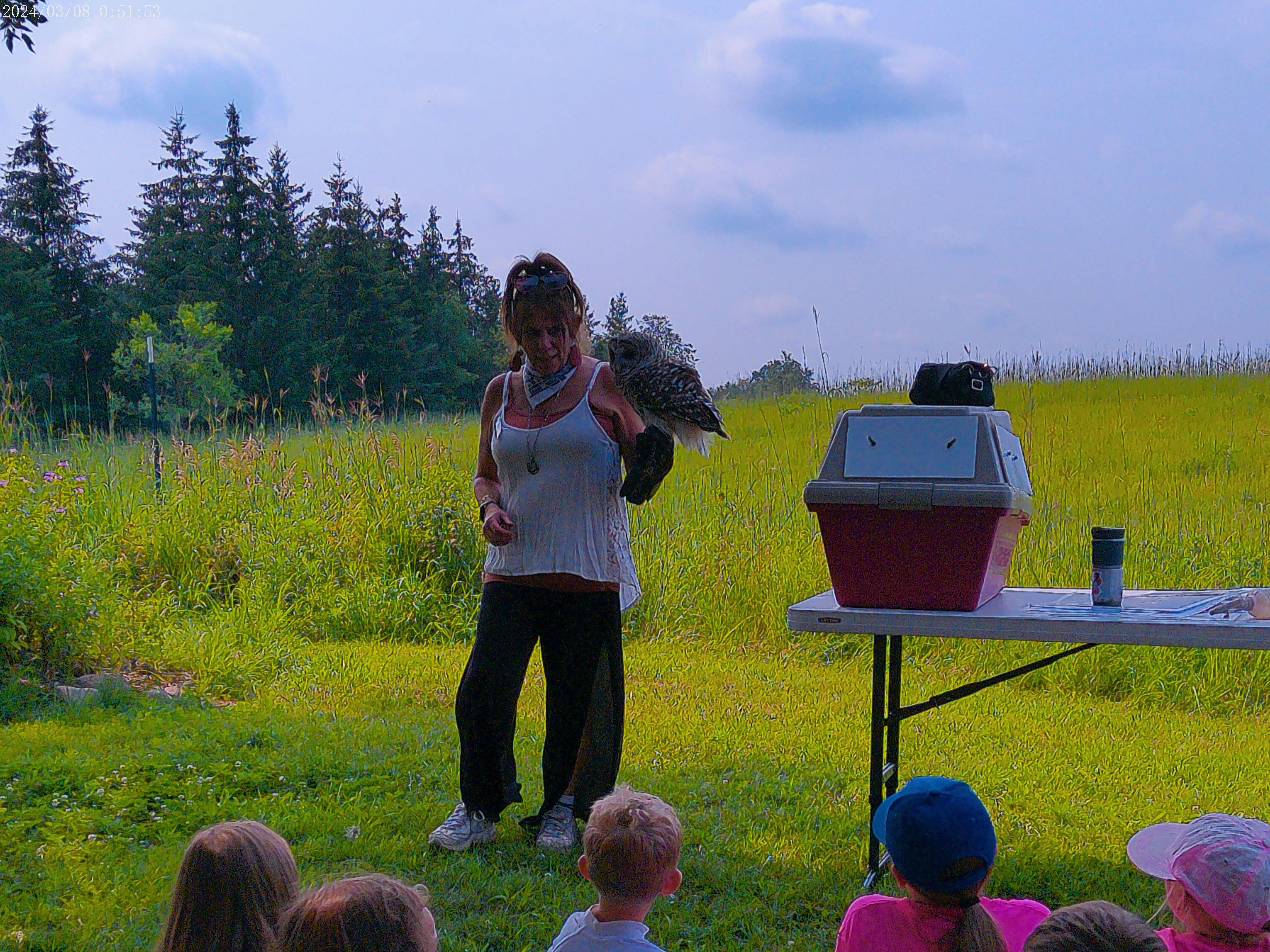 Wonder Wednesday: Raptor Mania