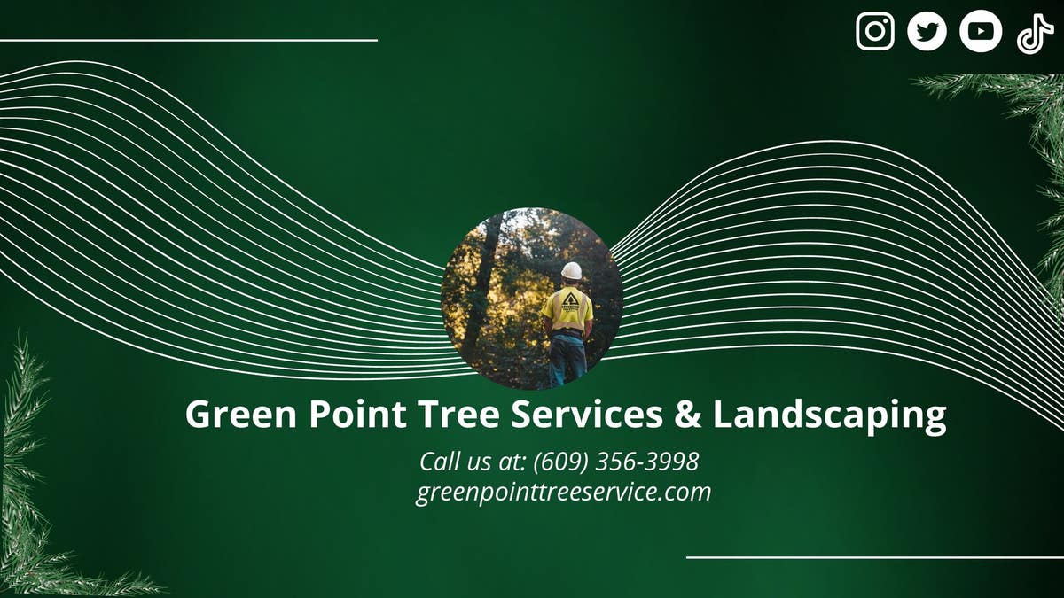 Green Point Tree Services & Landscaping