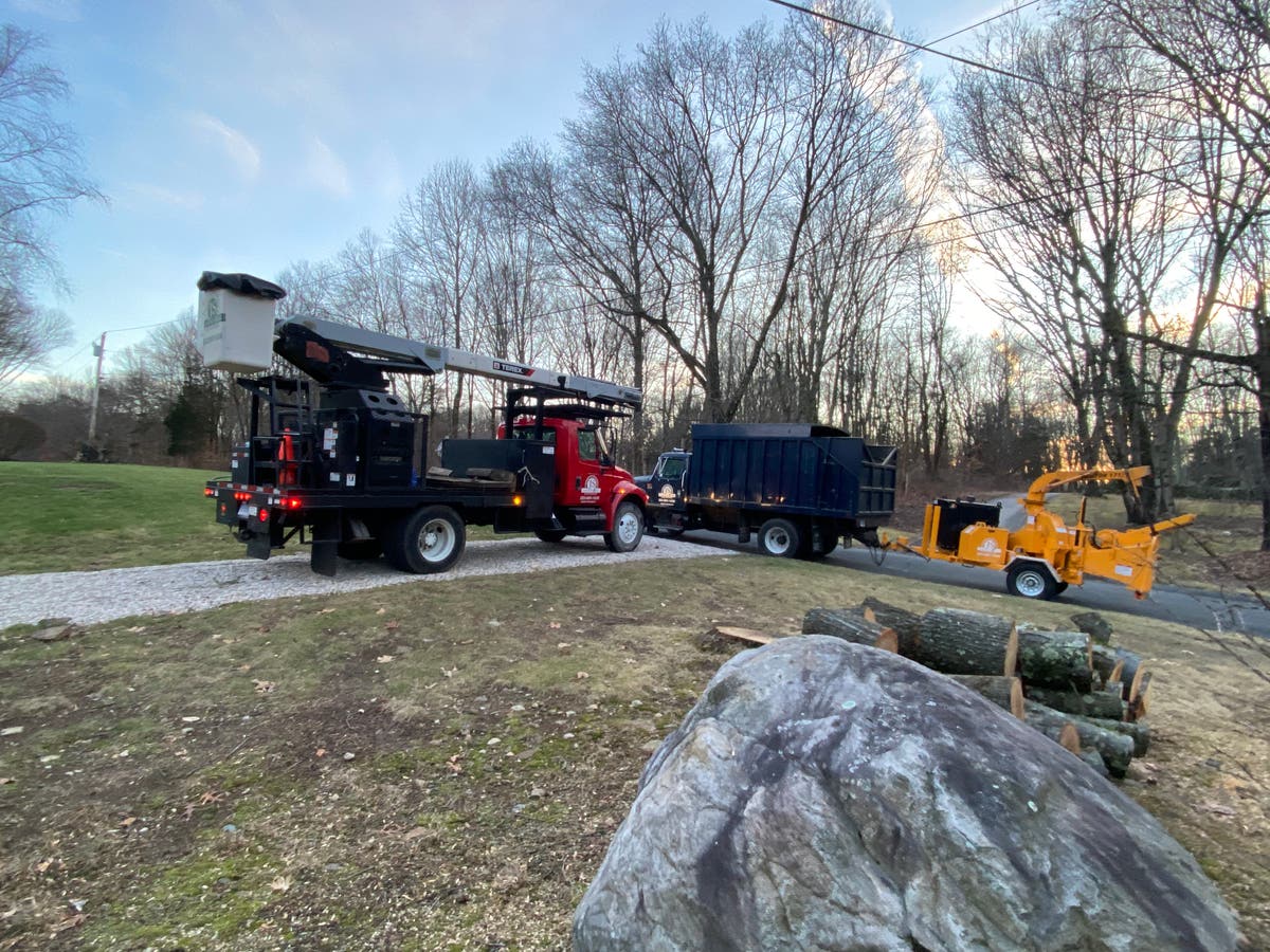 Js Landscaping & tree service llc 