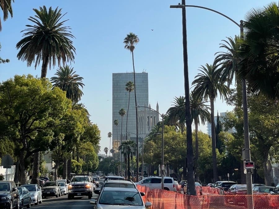Trees line Occidental Boulevard in Los Angeles' Westlake District.