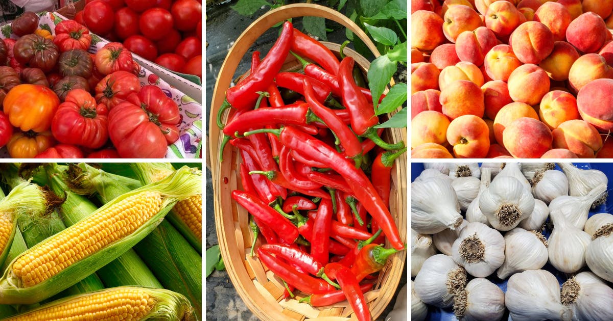 Concord Farmers' Market