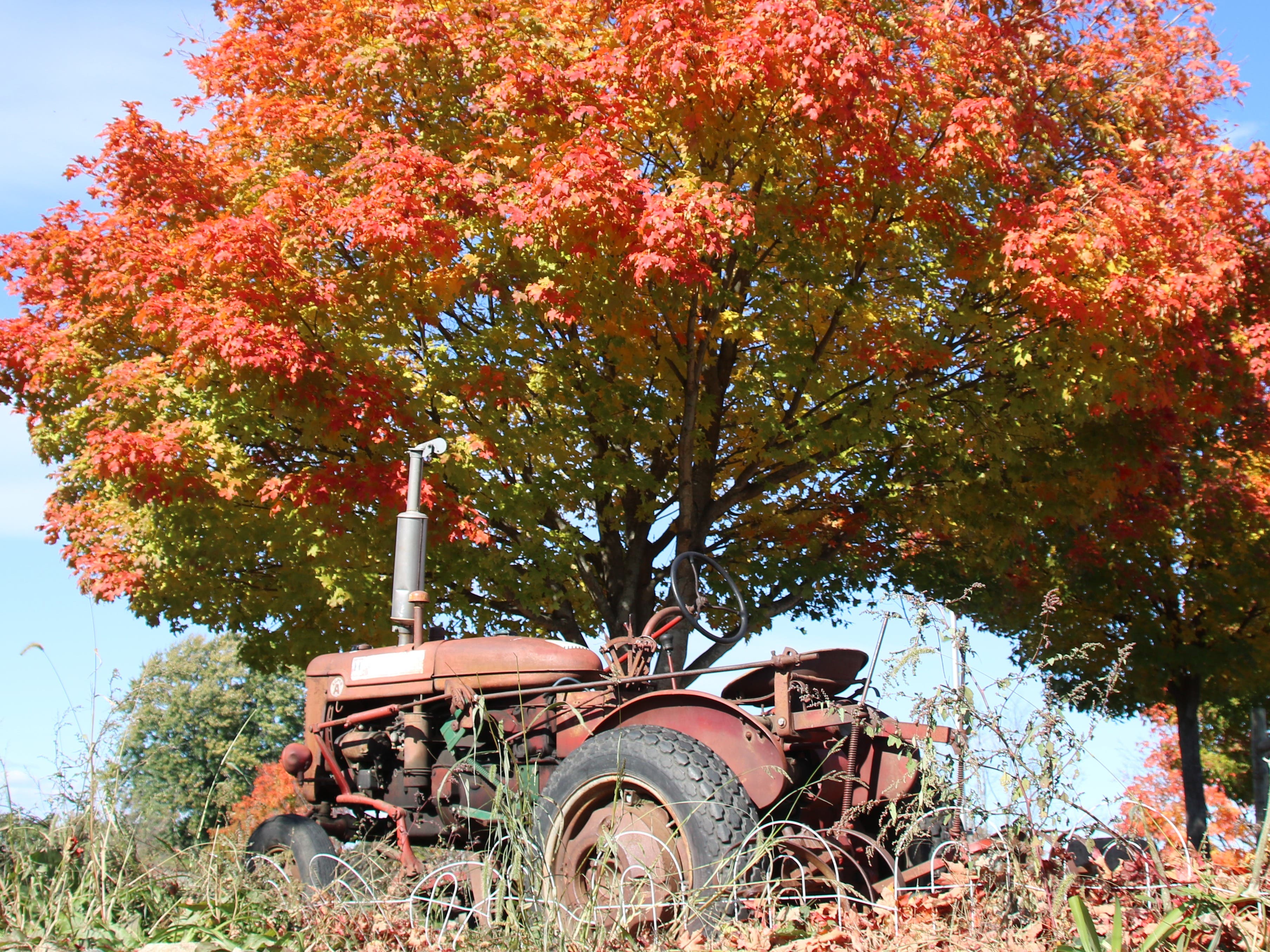 Harvest Raffle with Celtics Tickets, Nov 22, 2026