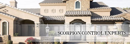 Scottsdale Scorpion and Pest Control