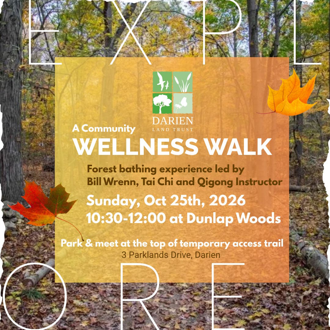 Wellness Walk