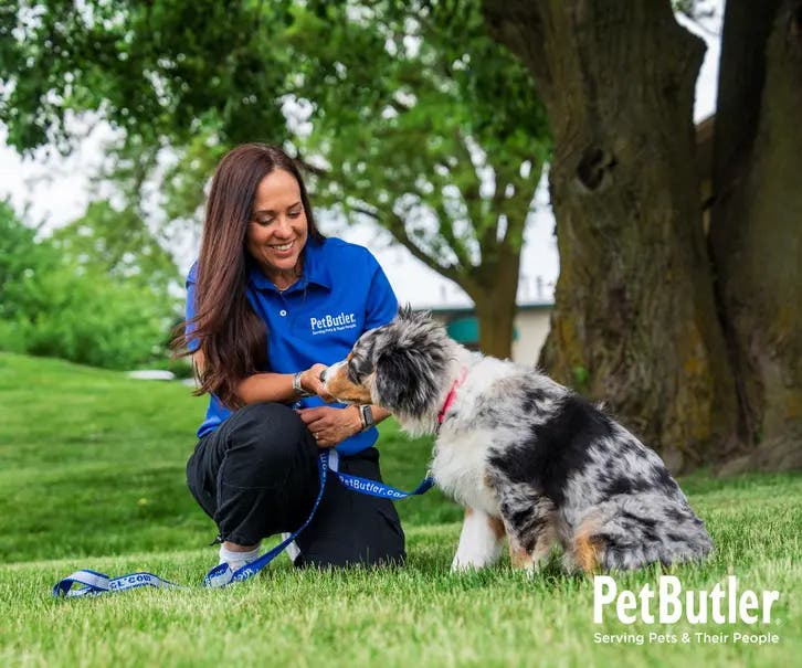Pet Service Franchise Opportunity in San Antonio, TX 🐾