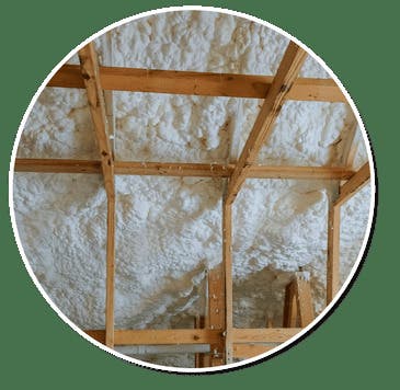 Armadillo Insulation