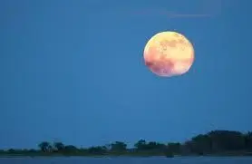 Full Moon River Cruise with Live Music