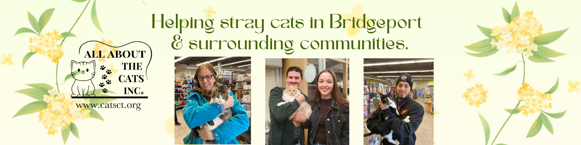 Cat & Kitten Adoptions