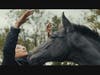 The documentary "Imprinted" focuses on choreographer JoAnna Mendl Shaw and her pioneering work with dancers and horses.