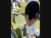 Rutgers student Charlene Guo adds uranine (a fluorescent dye) dissolved in water into a well to track groundwater flow on June.