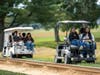 Rutgers Honors College students rode golf carts to travel from experimental plot to plot on Adelphia Farm.