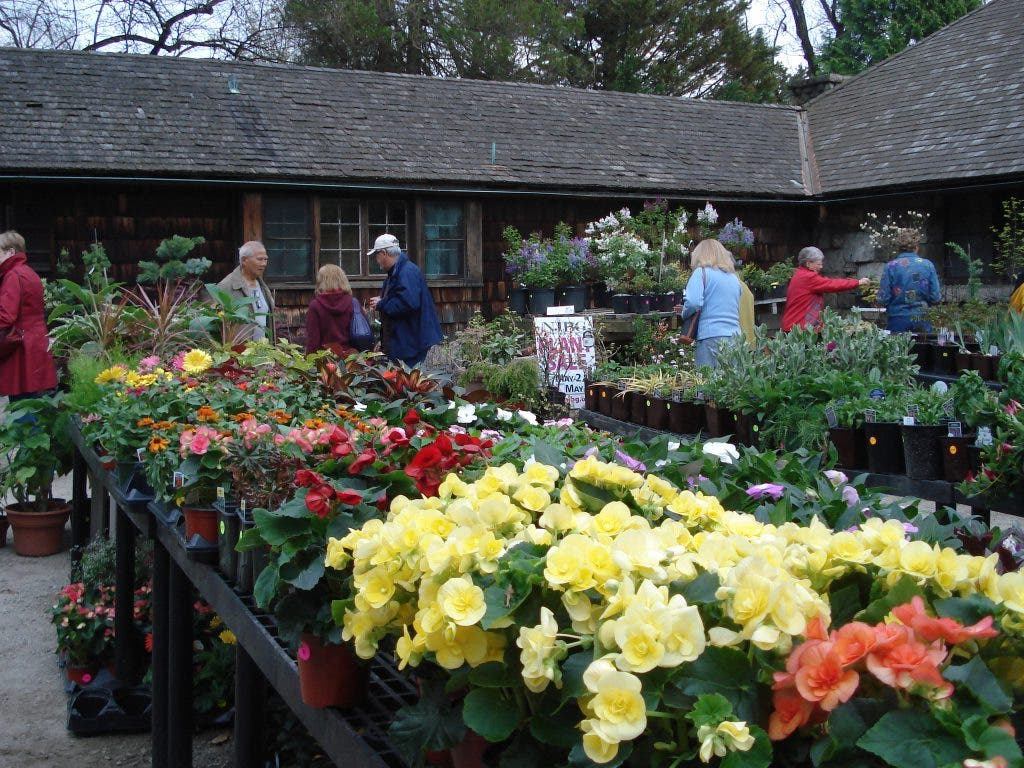 New Jersey Boatnical Gardens - Plant Sale