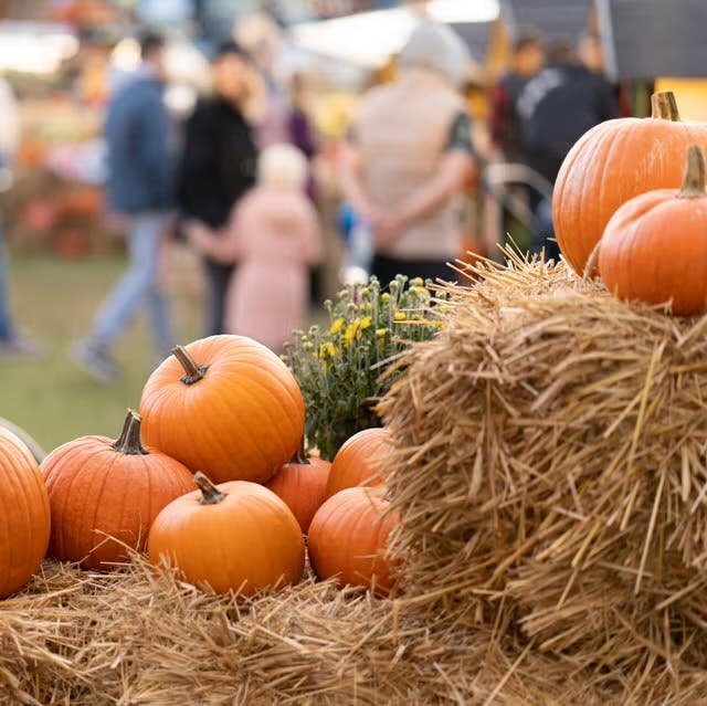 Oktoberfest and Kinderfest