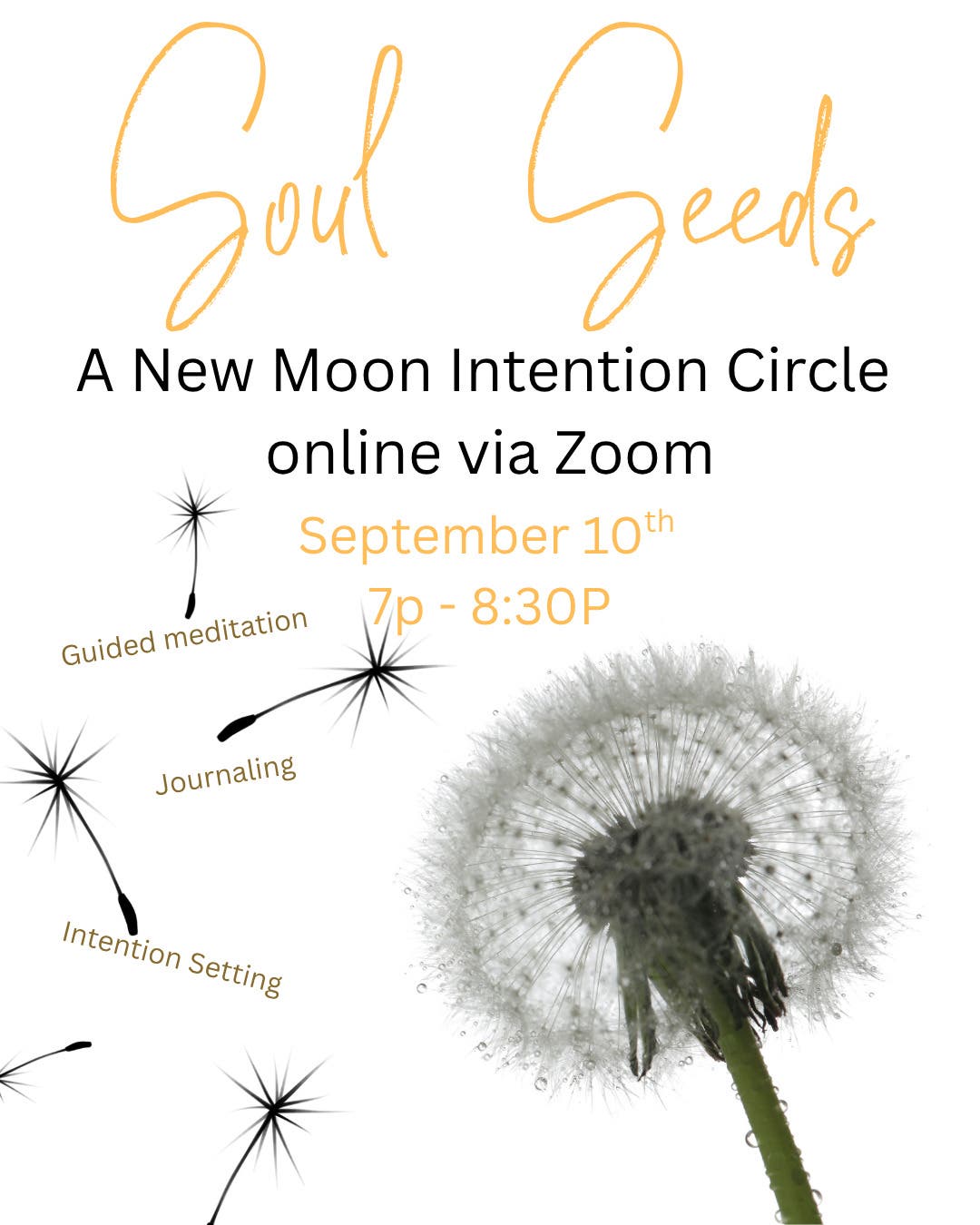Soul Seeds: A New Moon Intention Circle