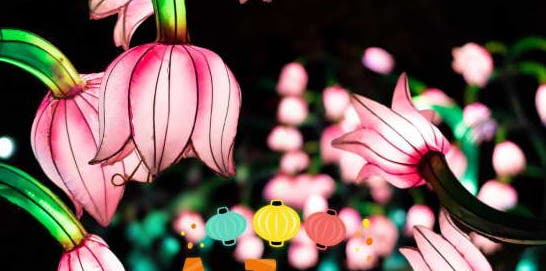 Autumn Glow Festival - Schenectady, NY