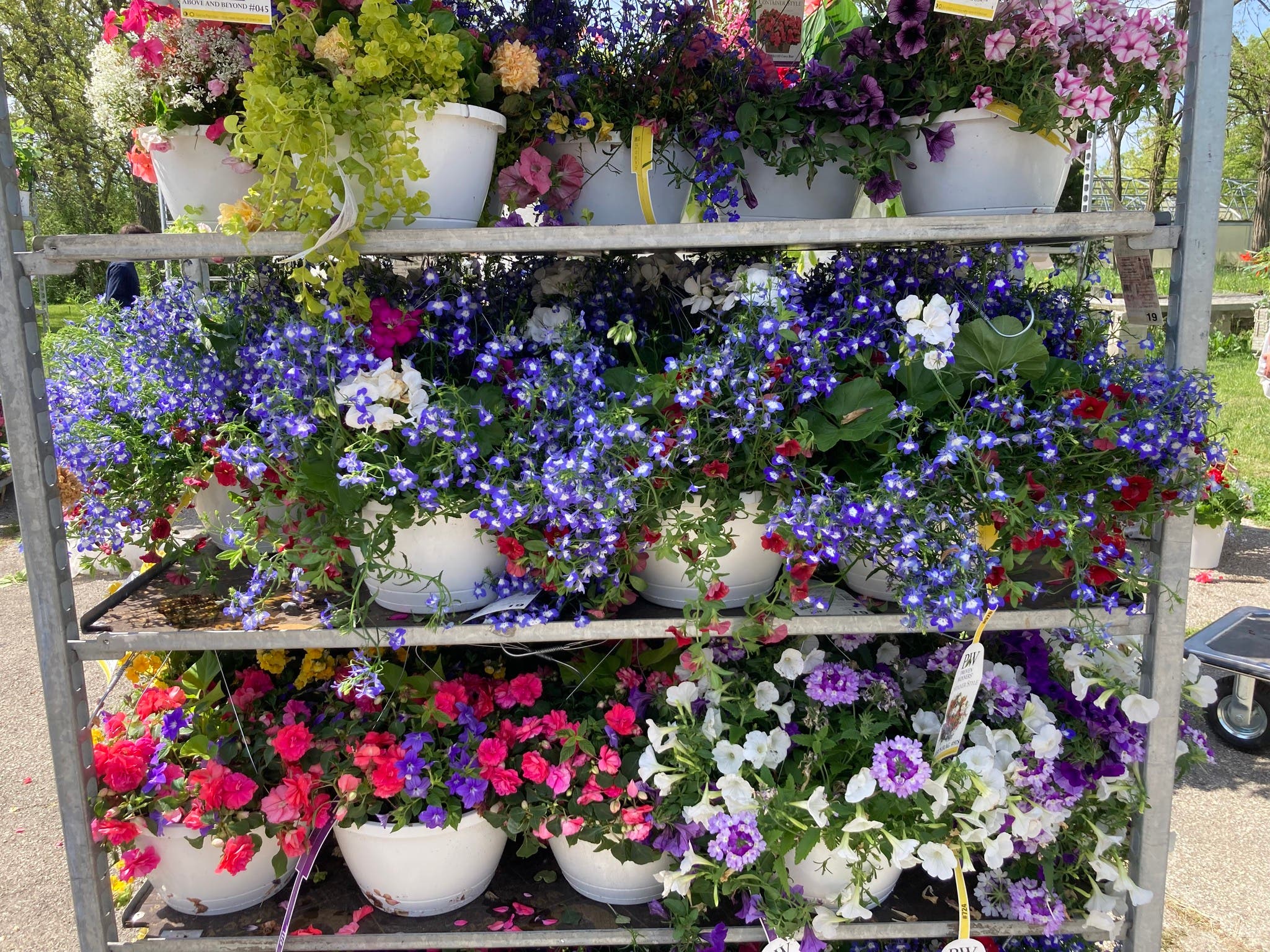 May 4 Plant sale this weekend! Lake Forest, IL Patch