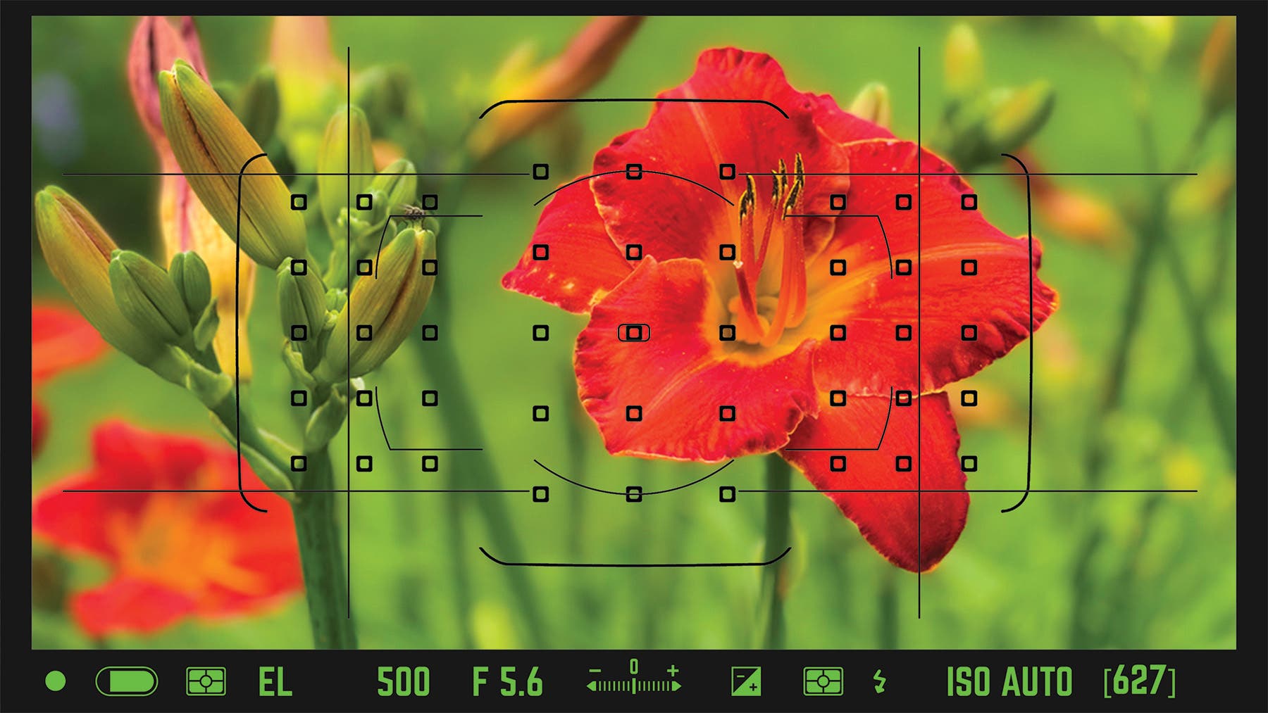 Free Intro to Digital Photography class