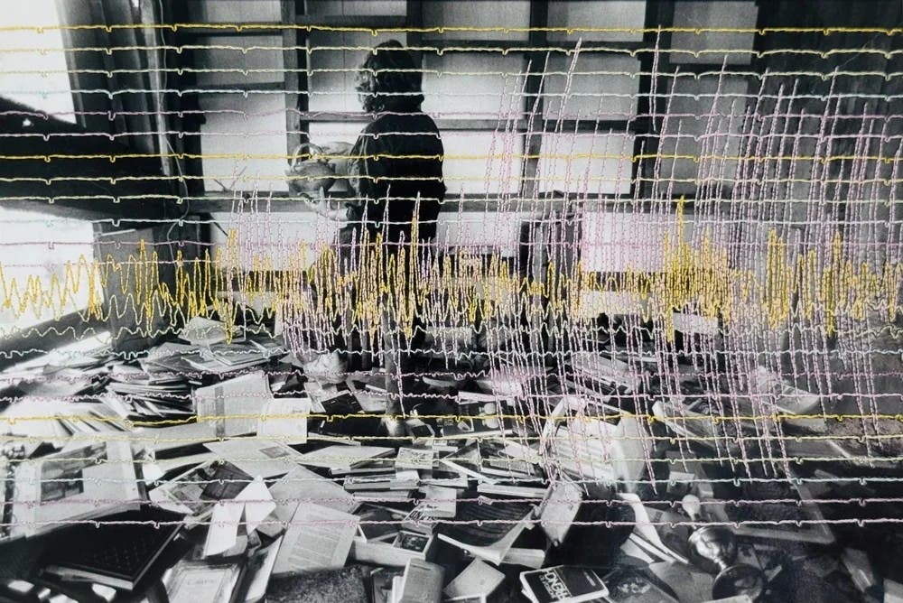 Exhibition Opens: New Additions 2026