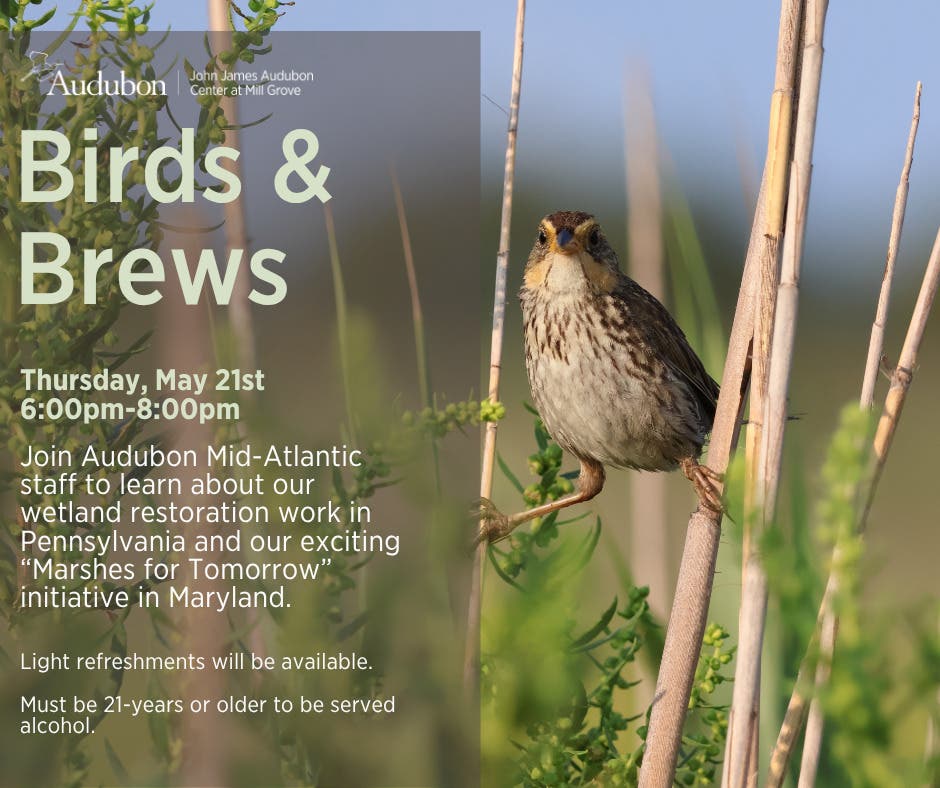 Birds & Brews: Water for People and Birds