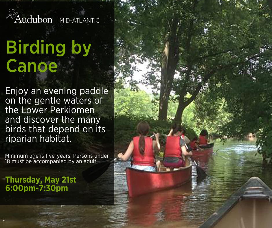 Birding by Canoe