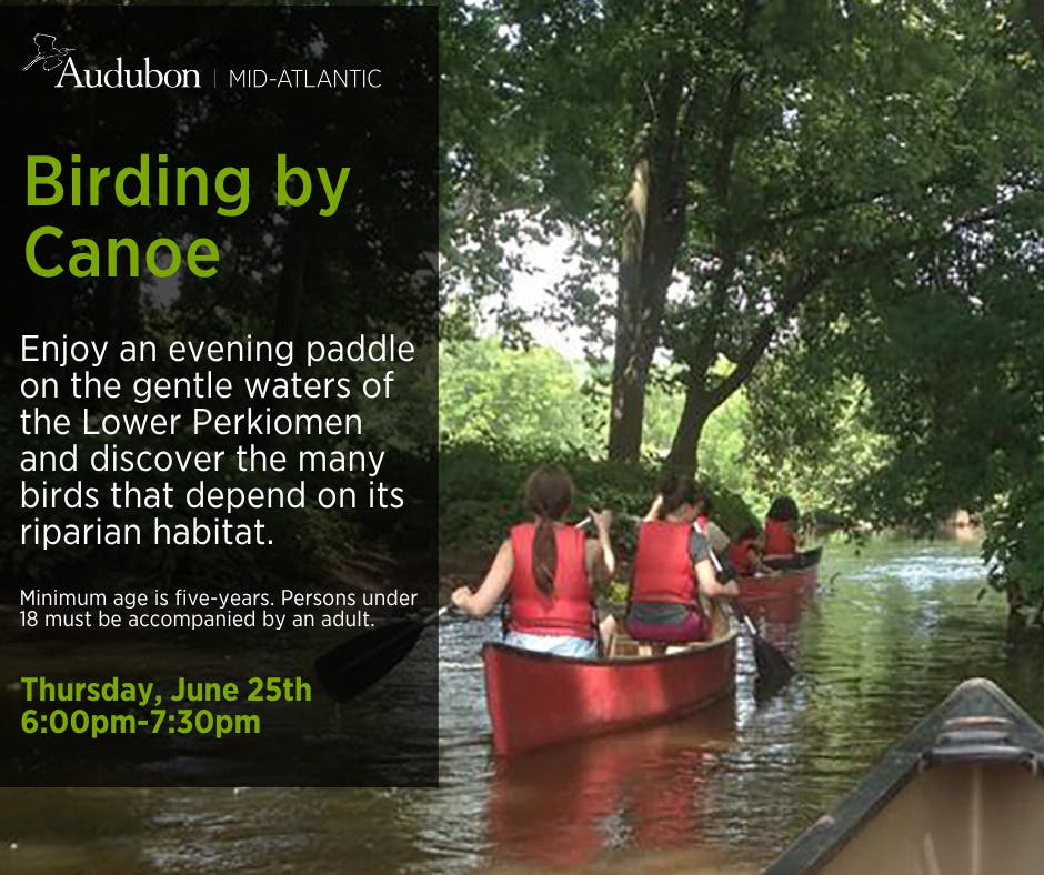 Birding by Canoe