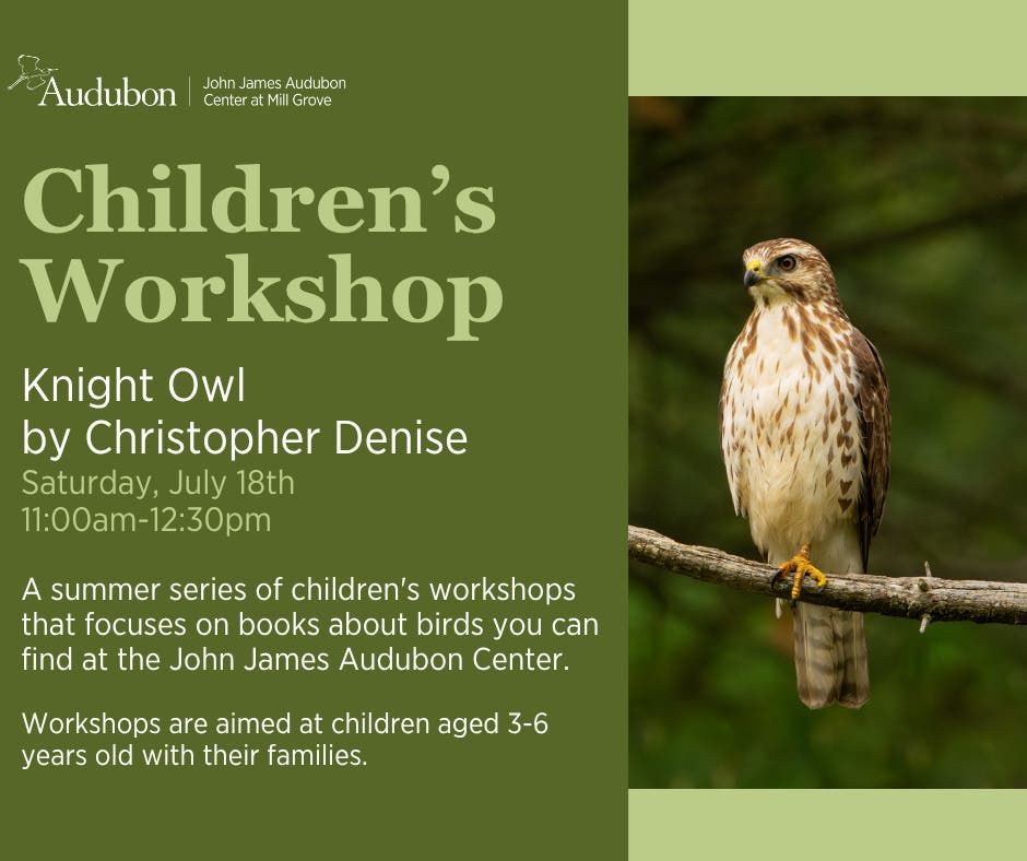 Children's Workshop