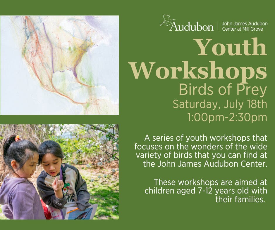 Youth Workshops