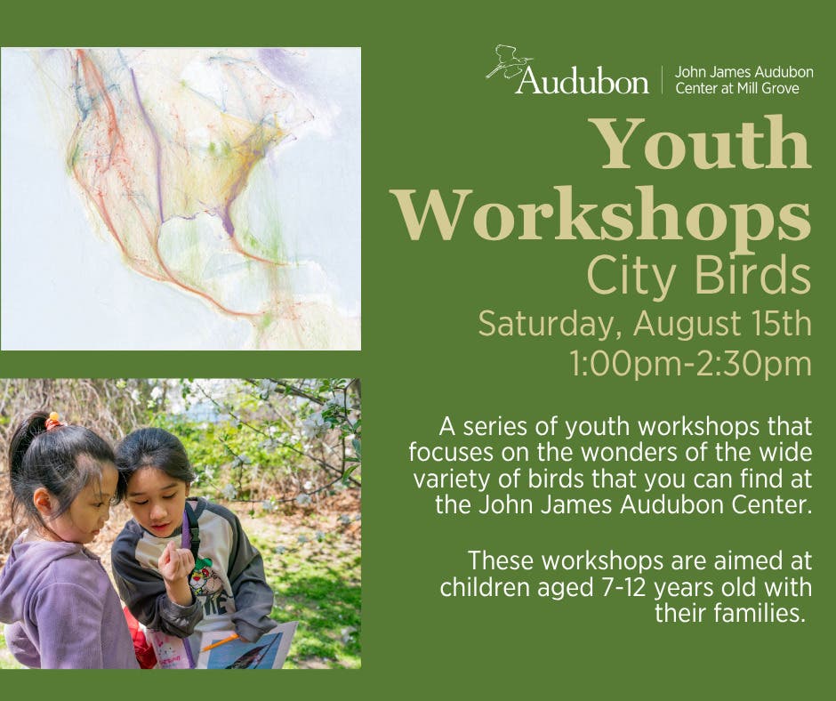 Youth Workshops