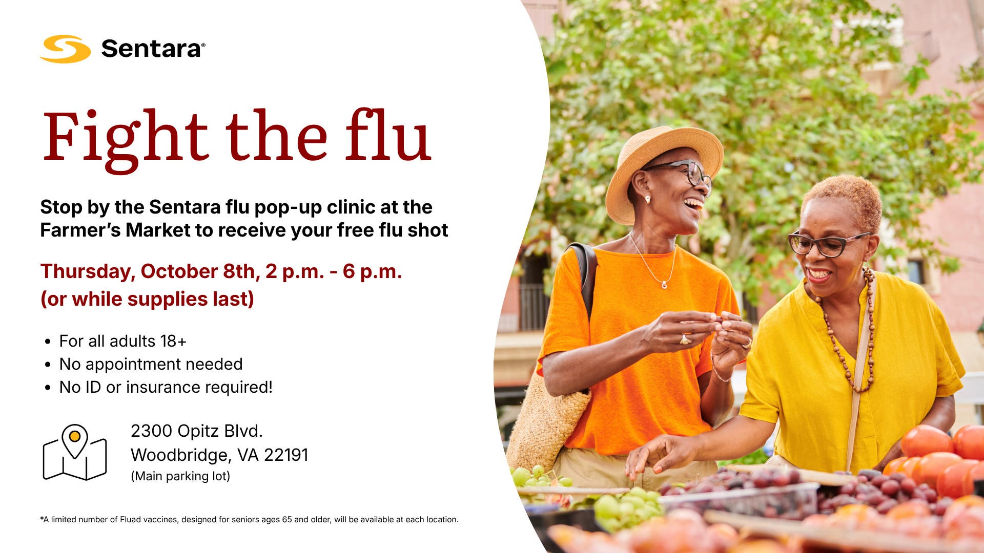 Fight The Flu